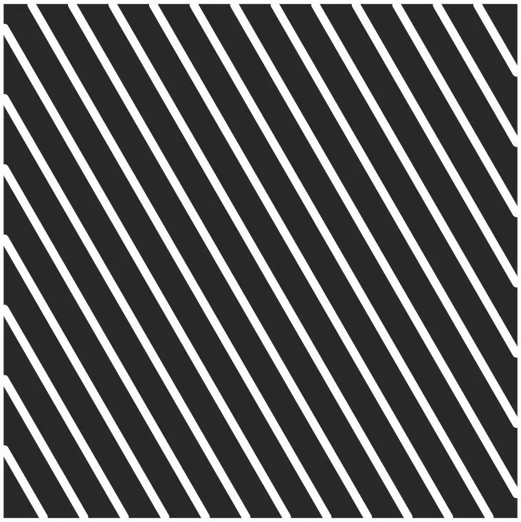 RALLAS.webp