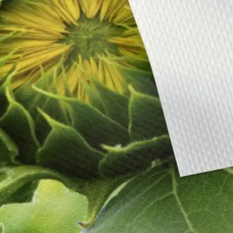 LONA FUNDIDA MATE 520GRM